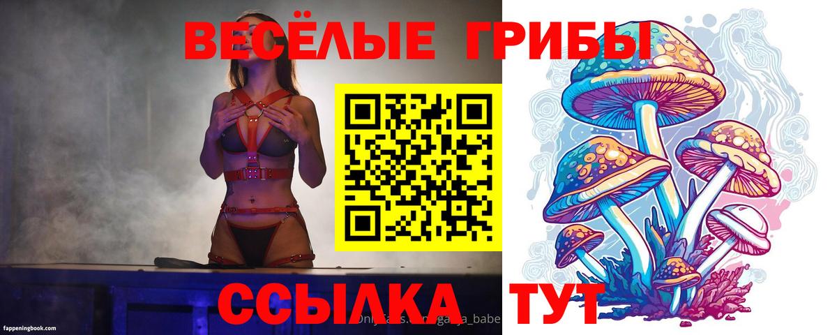 Ржев  Галлюциногенные грибы ЛСД  Галлюциногенные грибы Psilocybine cubensis  где продают наркотики  Вход с VPN 